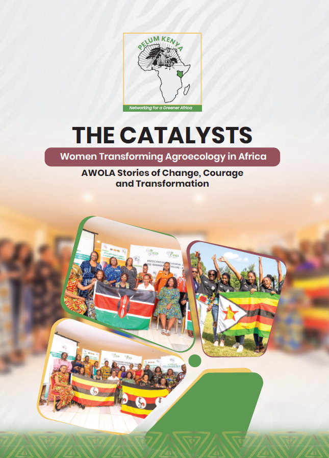 AWOLA Stories of Change Courage and Transformation