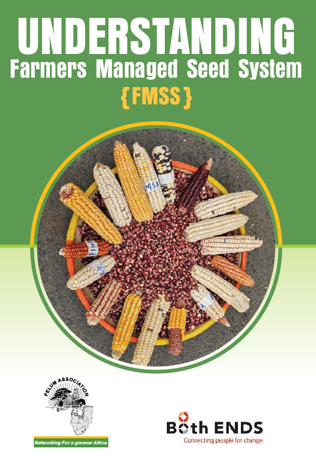 Understanding FMSS