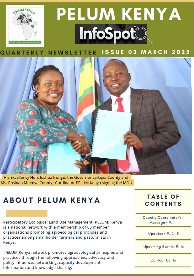 Issue #03 Newsletter 2025