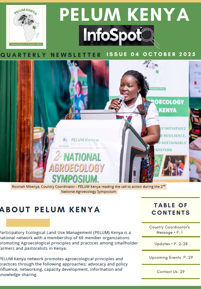 Issue #04 Newsletter 2025