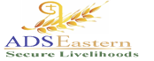 ADSE LOGO