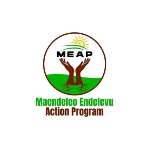 MEAP Logo